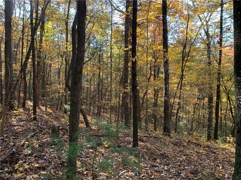9 Dover Falls Trail Ellijay, GA 30540
