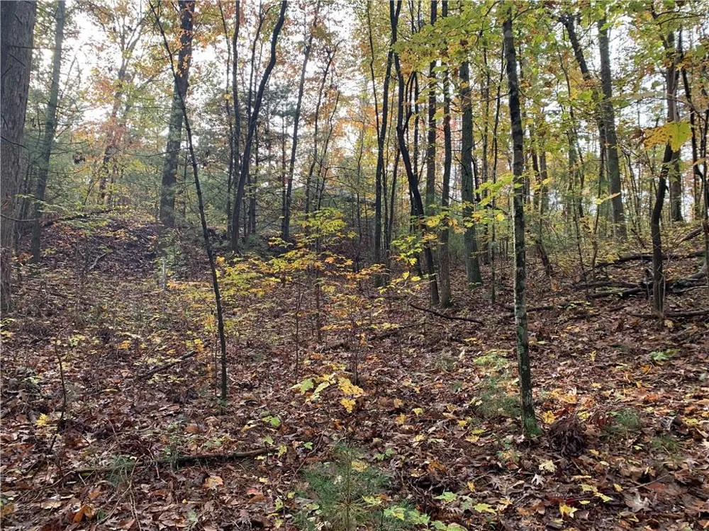 9 Dover Falls Trail Ellijay, GA 30540