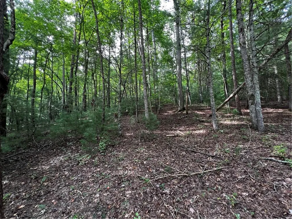 9 Dover Falls Trail Ellijay, GA 30540