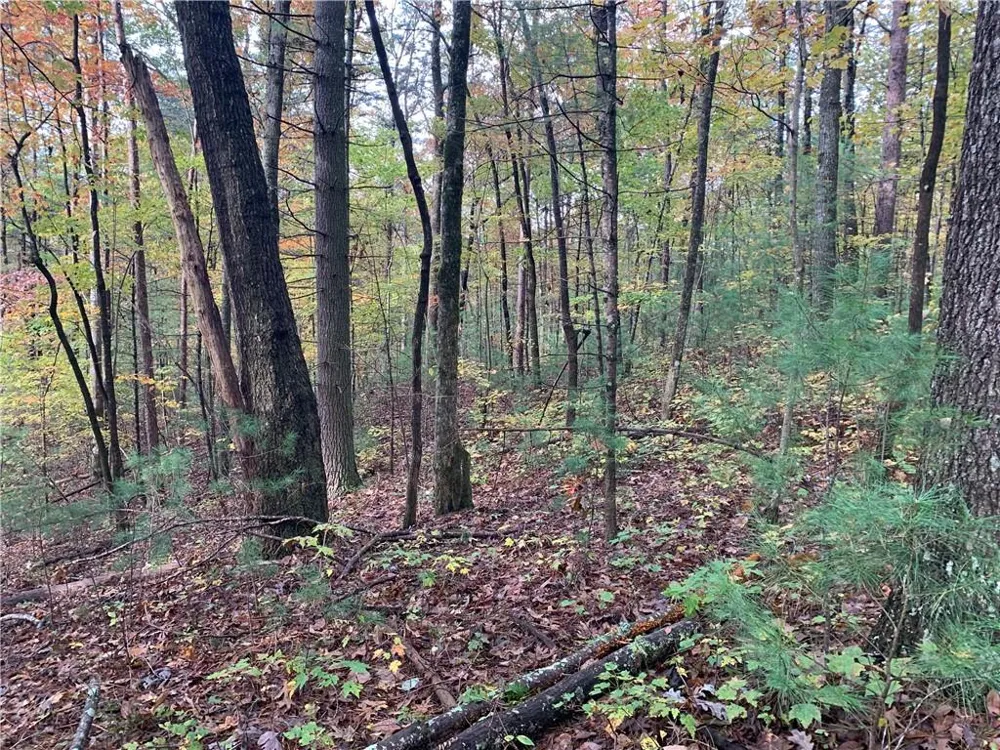 9 Dover Falls Trail Ellijay, GA 30540