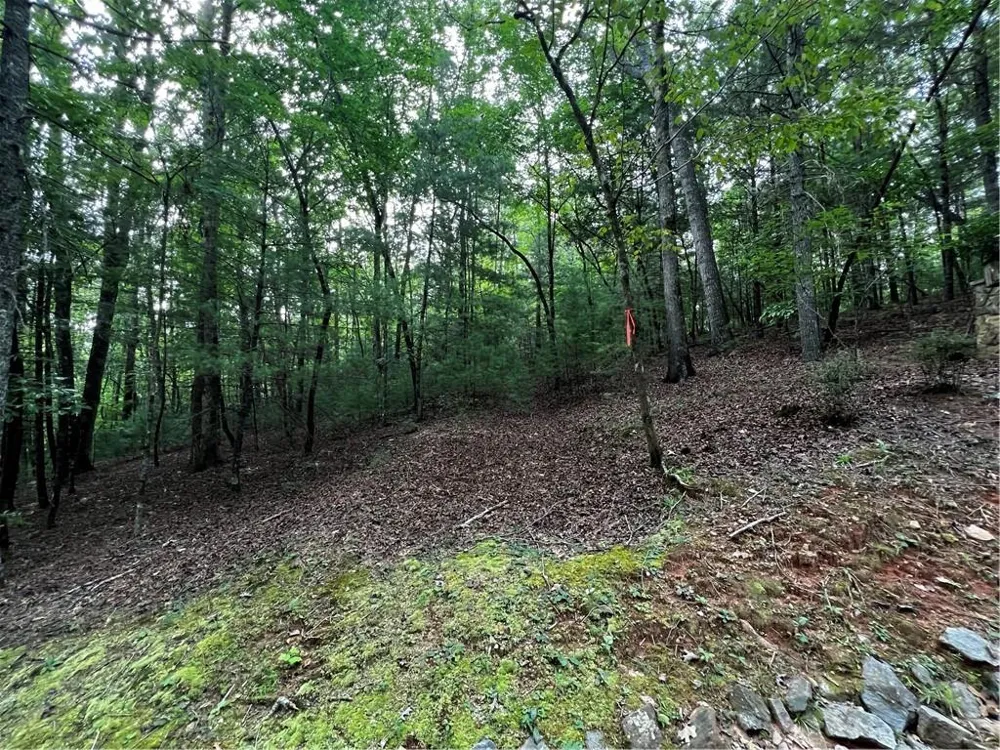 9 Dover Falls Trail Ellijay, GA 30540
