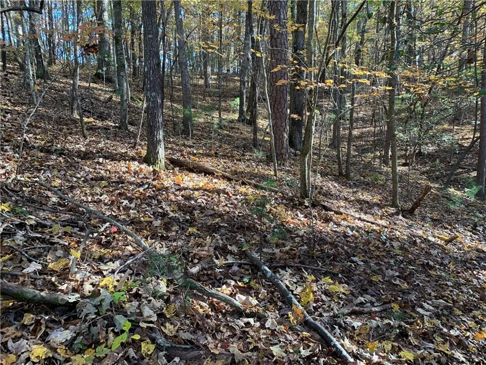 9 Dover Falls Trail Ellijay, GA 30540