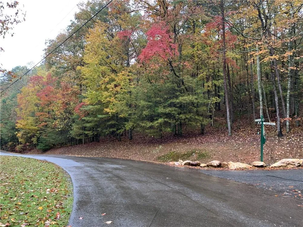 9 Dover Falls Trail Ellijay, GA 30540
