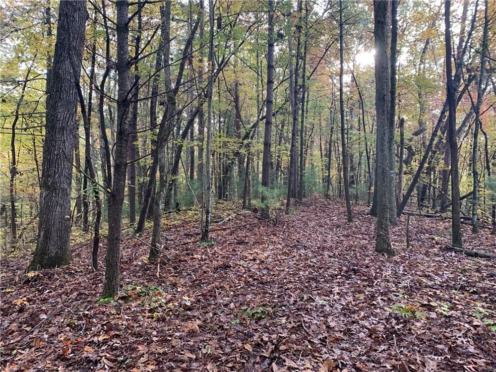 9 Dover Falls Trail Ellijay, GA 30540