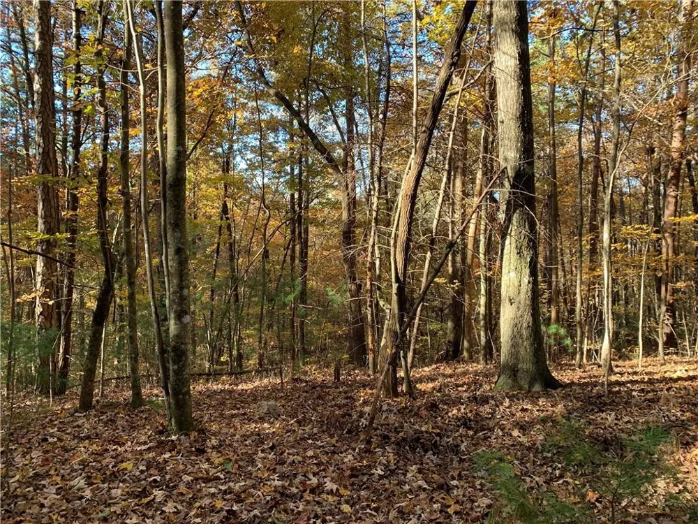 9 Dover Falls Trail Ellijay, GA 30540