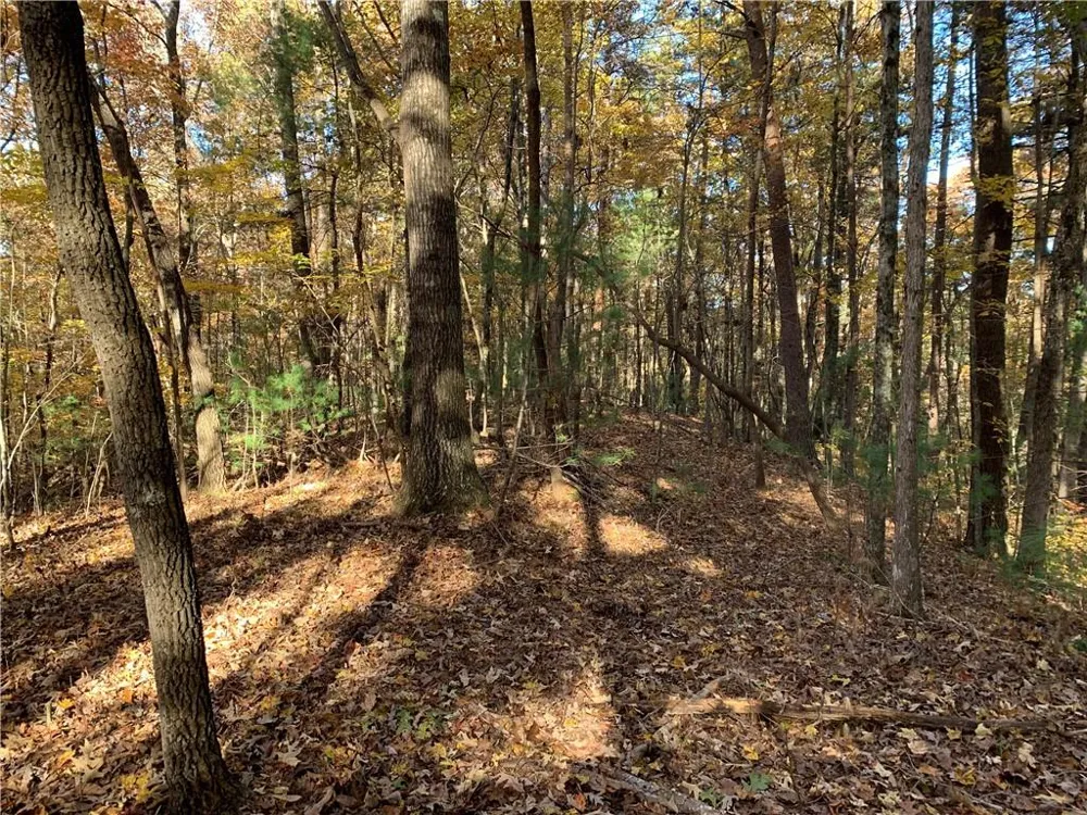 9 Dover Falls Trail Ellijay, GA 30540