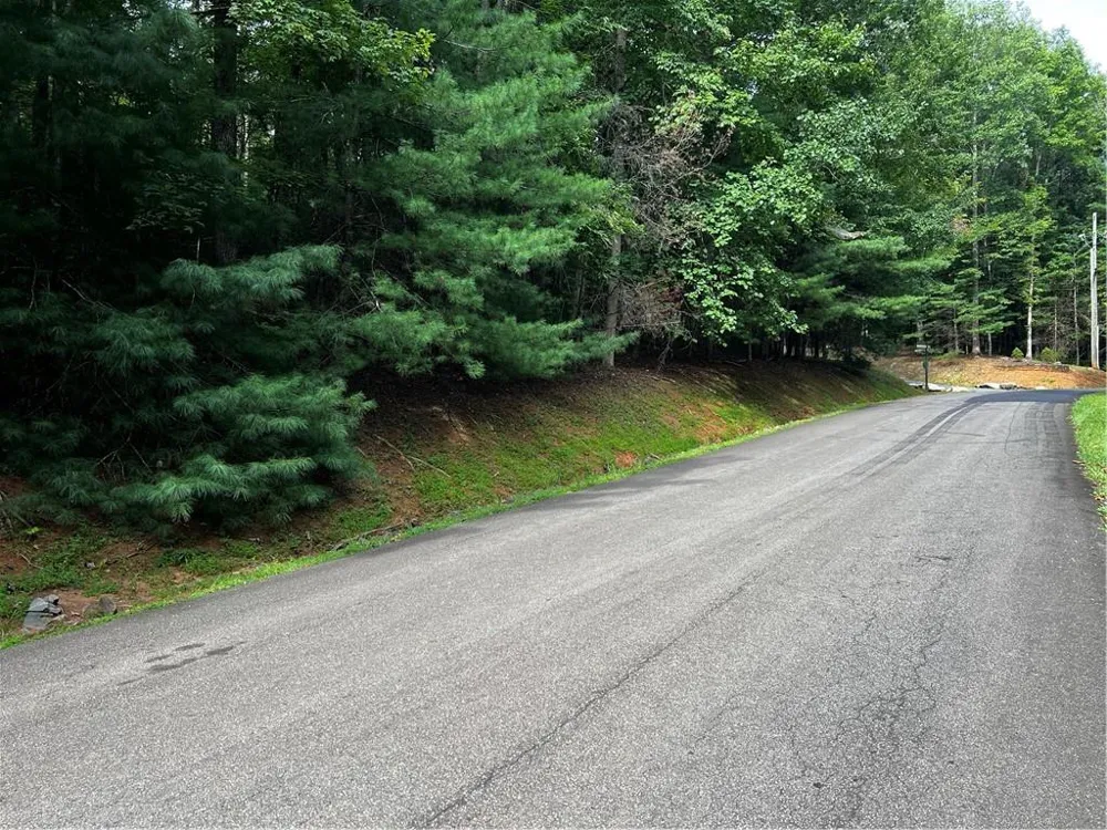 9 Dover Falls Trail Ellijay, GA 30540