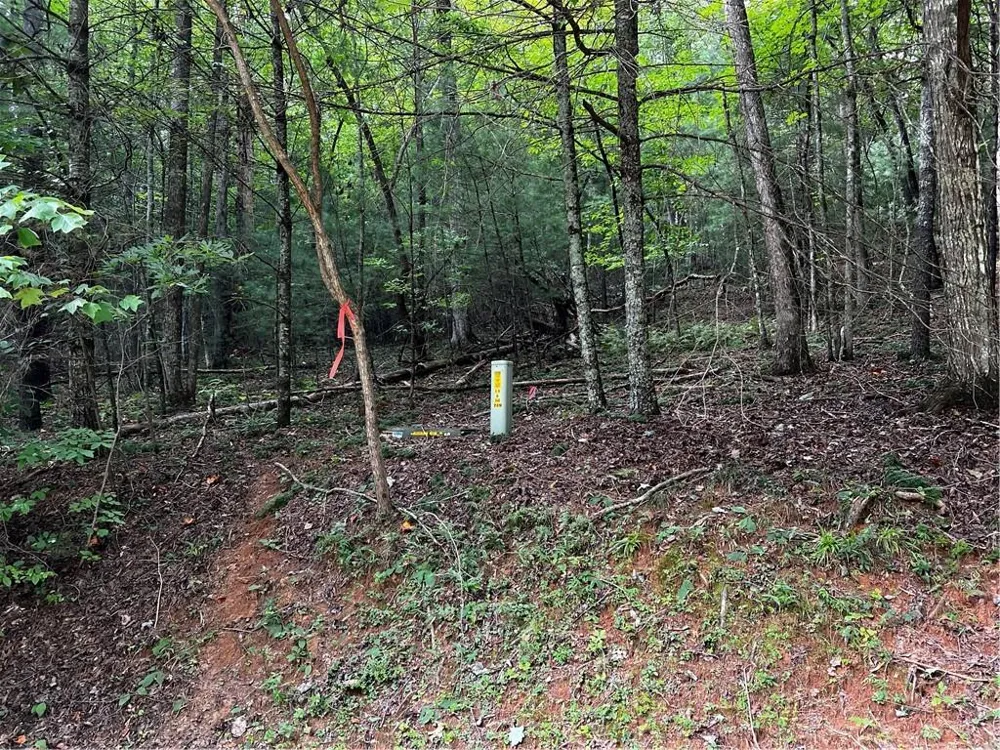 9 Dover Falls Trail Ellijay, GA 30540