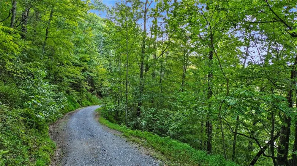 0 Elk Trail Talking Rock, GA 30175