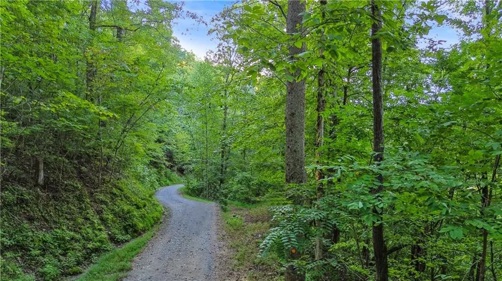 0 Elk Trail Talking Rock, GA 30175