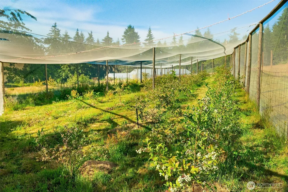 7206 SW 248th Street Vashon, WA 98070