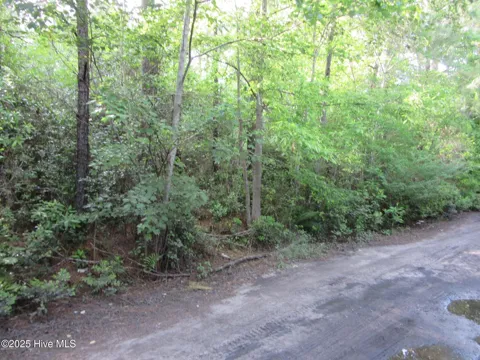 1253 Crooked Pine Road