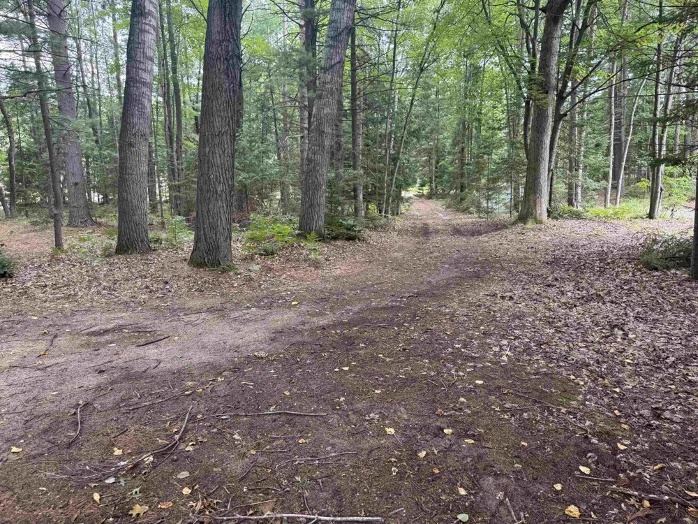 701 Springwood Drive Denton Township, MI 48651