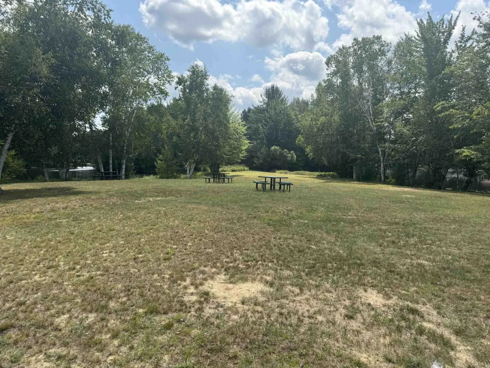 701 Springwood Drive Denton Township, MI 48651