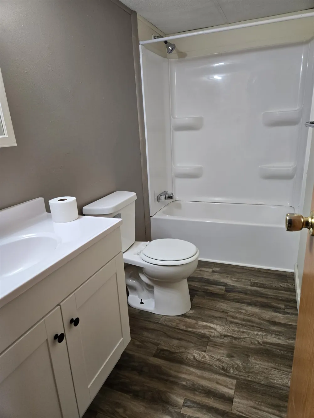 326 W Burton Street Fulton Township, MI 48874