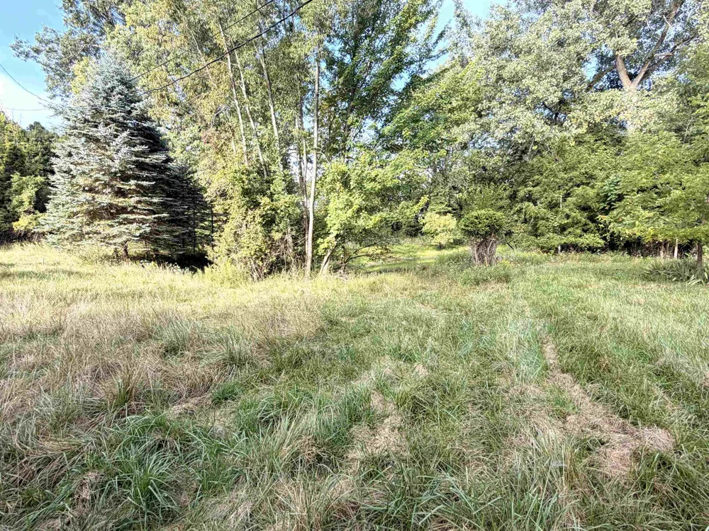 9526 W Monroe Seville Township, MI 48832
