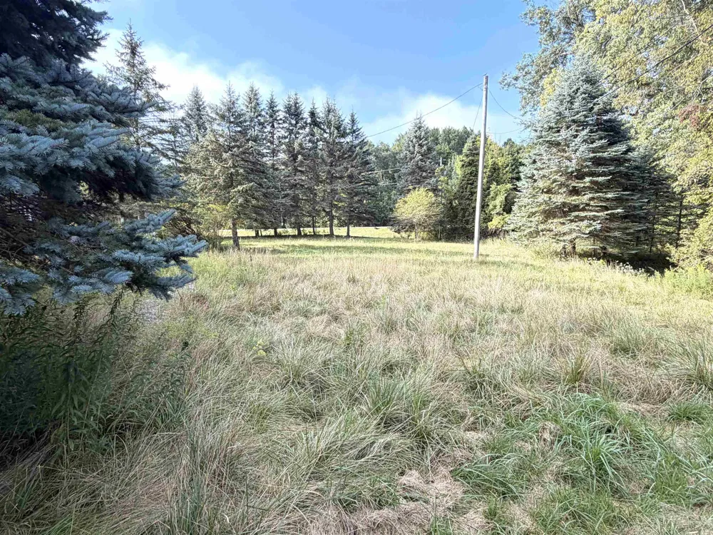 9526 W Monroe Seville Township, MI 48832