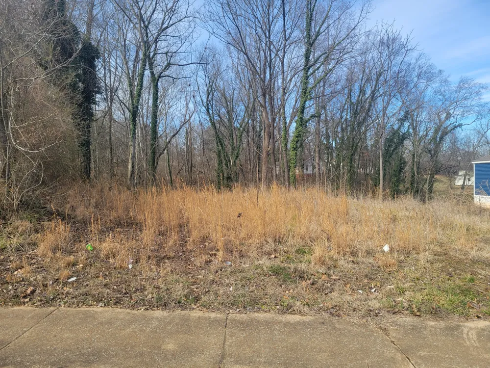 181 VALLEY OAK DRIVE Buchanan, TN 38222