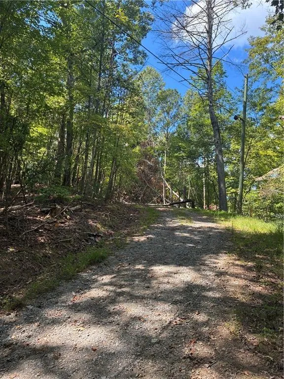 00 Miramar Drive Ellijay, GA 30540