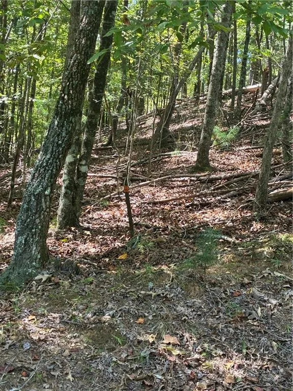 00 Miramar Drive Ellijay, GA 30540