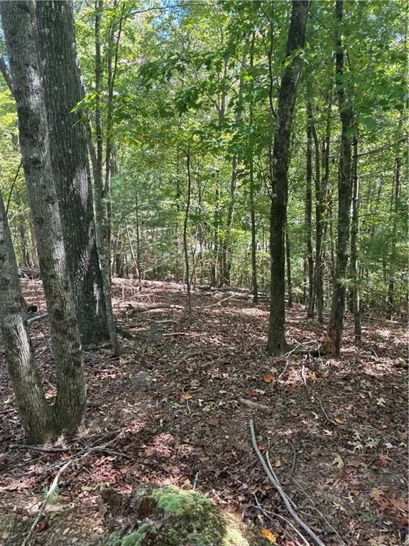 00 Miramar Drive Ellijay, GA 30540