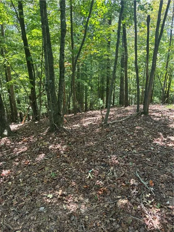 00 Miramar Drive Ellijay, GA 30540