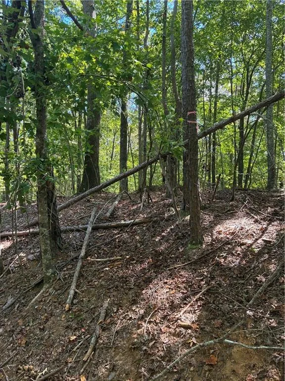 00 Miramar Drive Ellijay, GA 30540