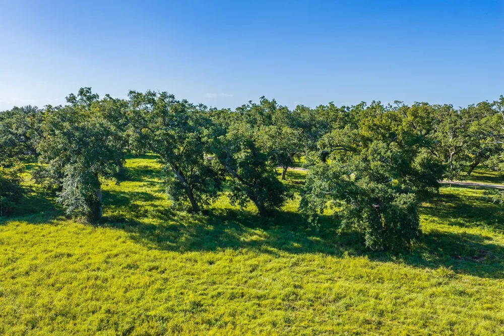 19329 Cr 319 Brazoria, TX 77422