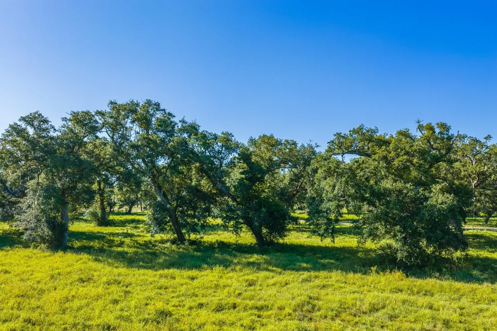 19329 Cr 319 Brazoria, TX 77422