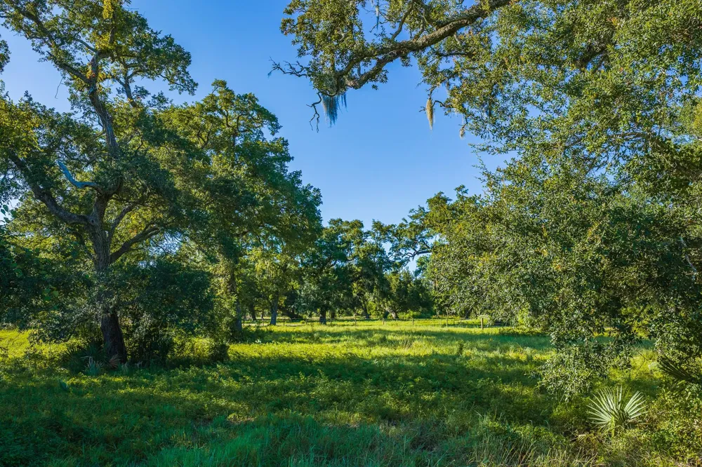 19329 Cr 319 Brazoria, TX 77422
