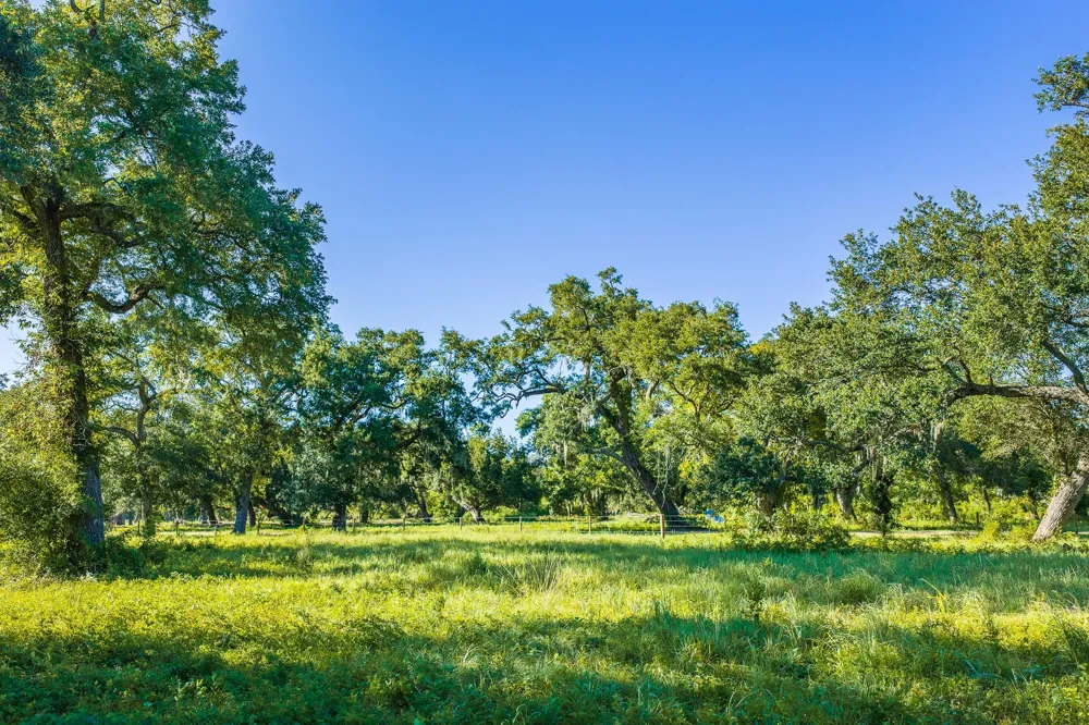19329 Cr 319 Brazoria, TX 77422