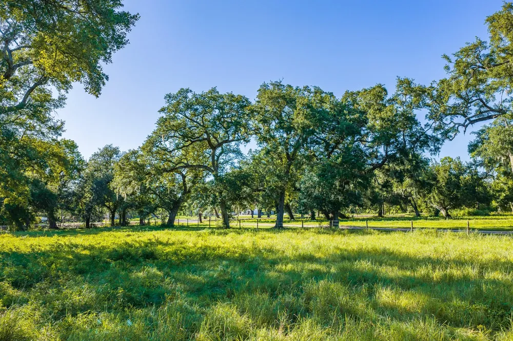 19329 Cr 319 Brazoria, TX 77422