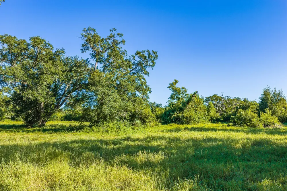 19329 Cr 319 Brazoria, TX 77422
