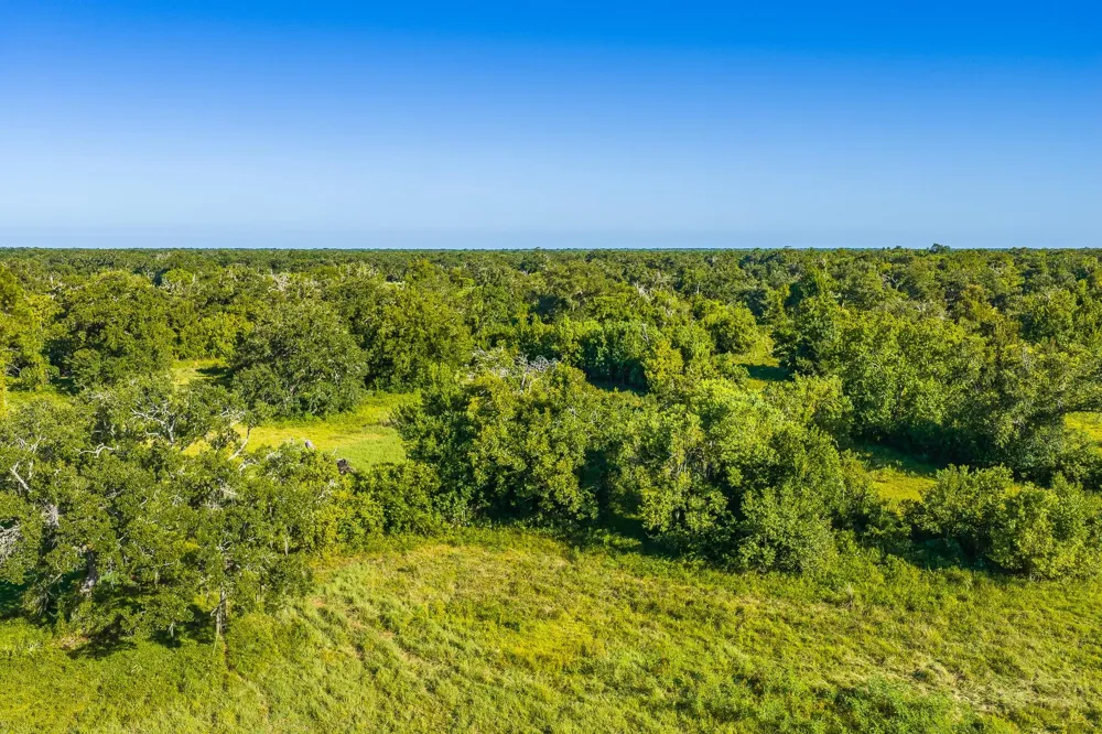 19329 Cr 319 Brazoria, TX 77422