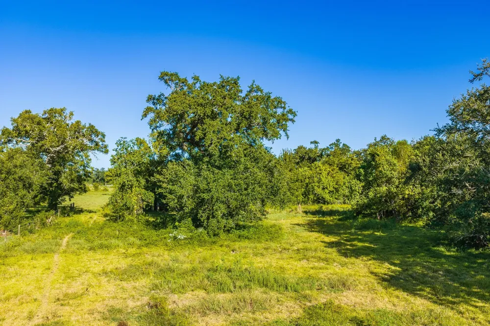 19329 Cr 319 Brazoria, TX 77422
