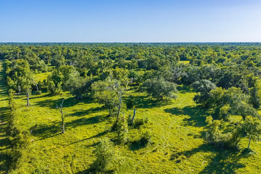 19329 Cr 319 Brazoria, TX 77422