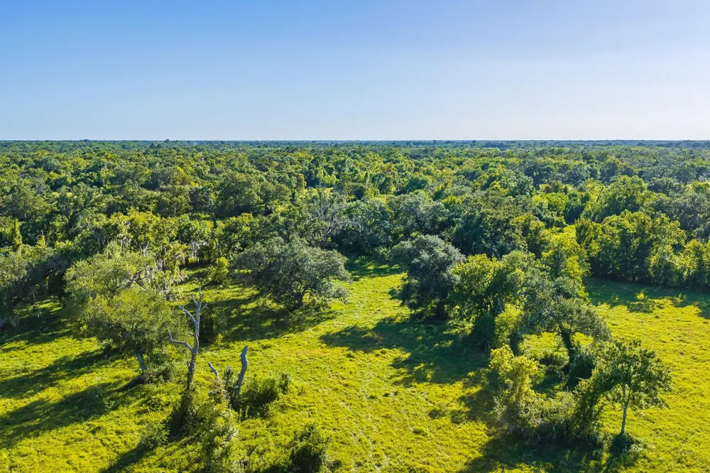19329 Cr 319 Brazoria, TX 77422