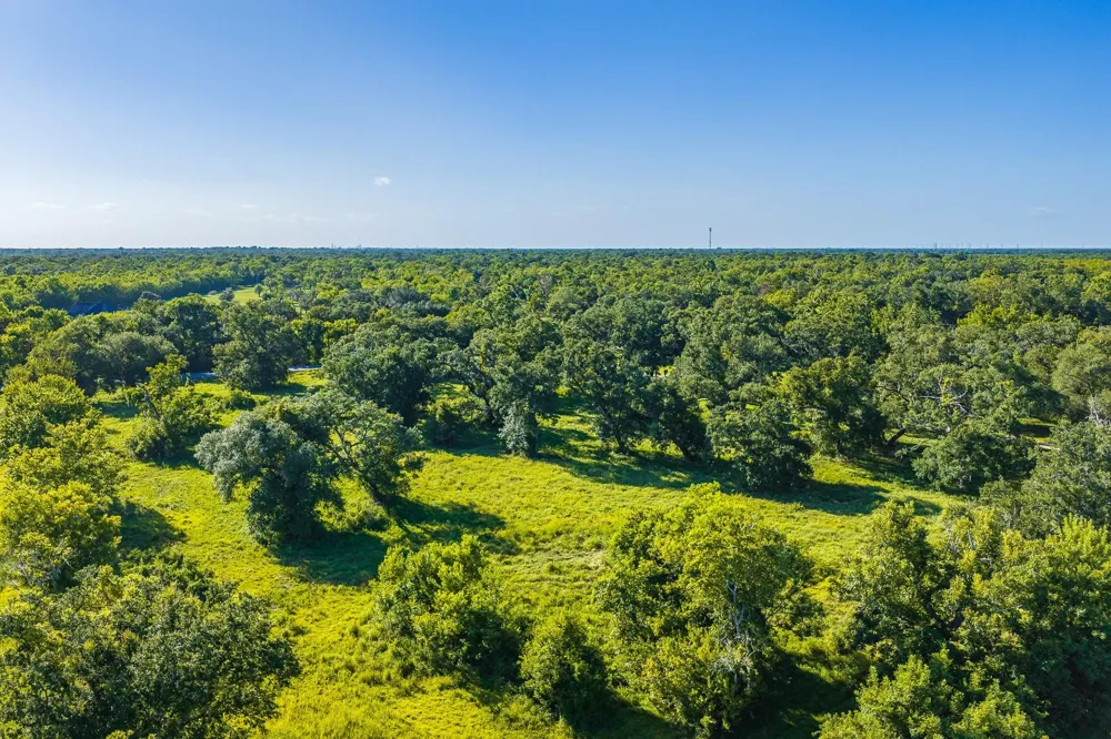 19329 Cr 319 Brazoria, TX 77422