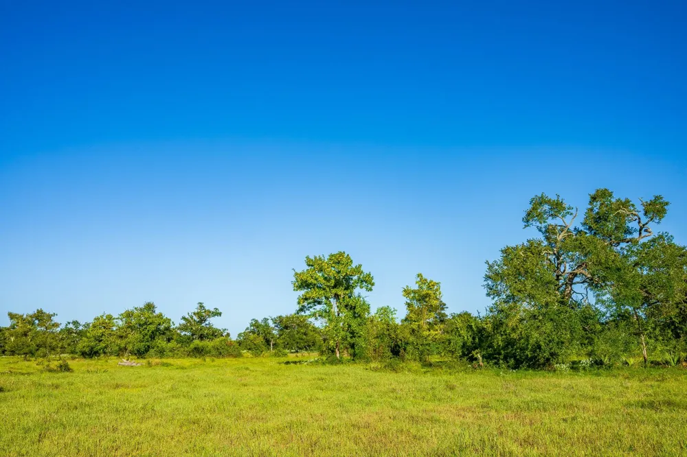 19329 Cr 319 Brazoria, TX 77422