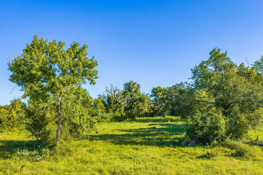 19329 Cr 319 Brazoria, TX 77422