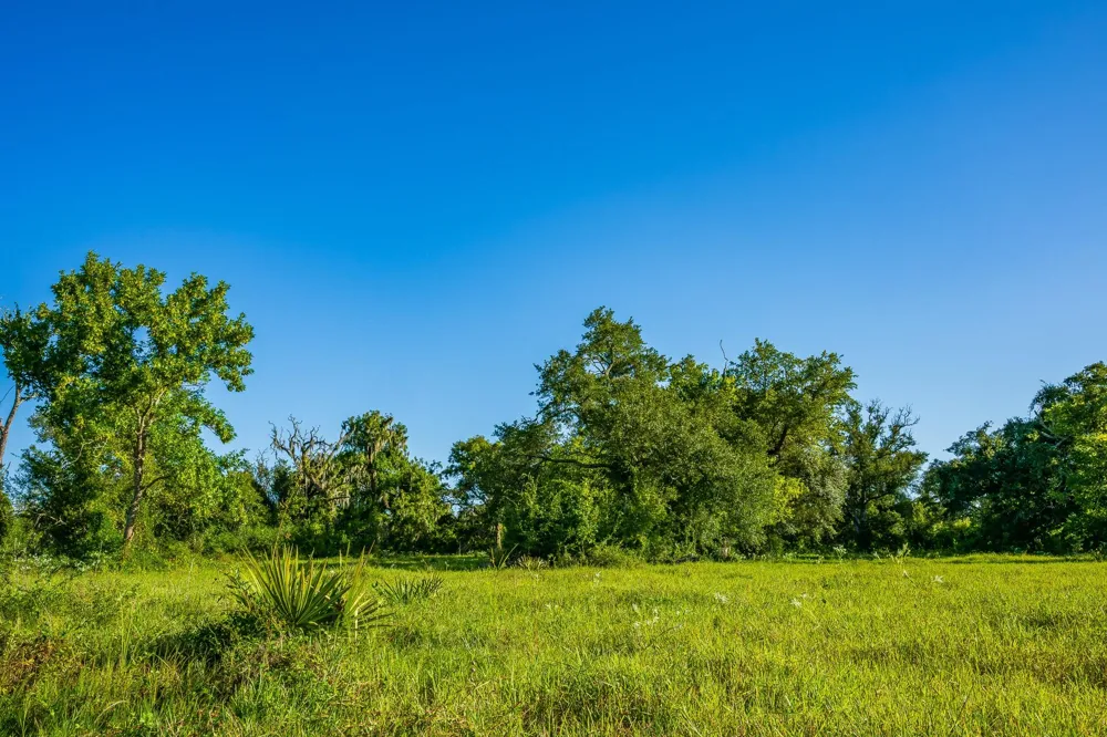 19329 Cr 319 Brazoria, TX 77422