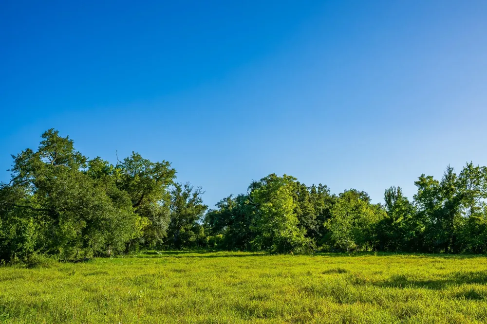 19329 Cr 319 Brazoria, TX 77422