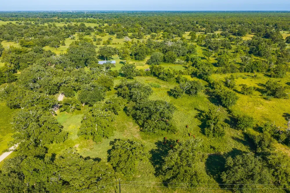 19329 Cr 319 Brazoria, TX 77422