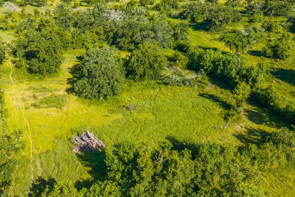 19329 Cr 319 Brazoria, TX 77422