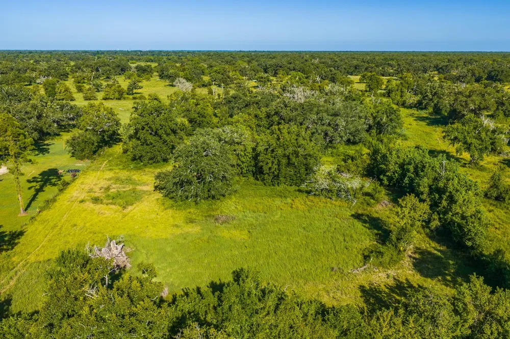 19329 Cr 319 Brazoria, TX 77422