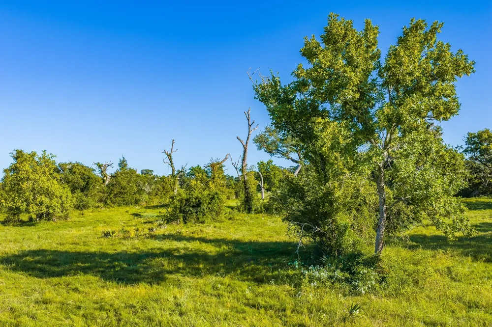 19329 Cr 319 Brazoria, TX 77422