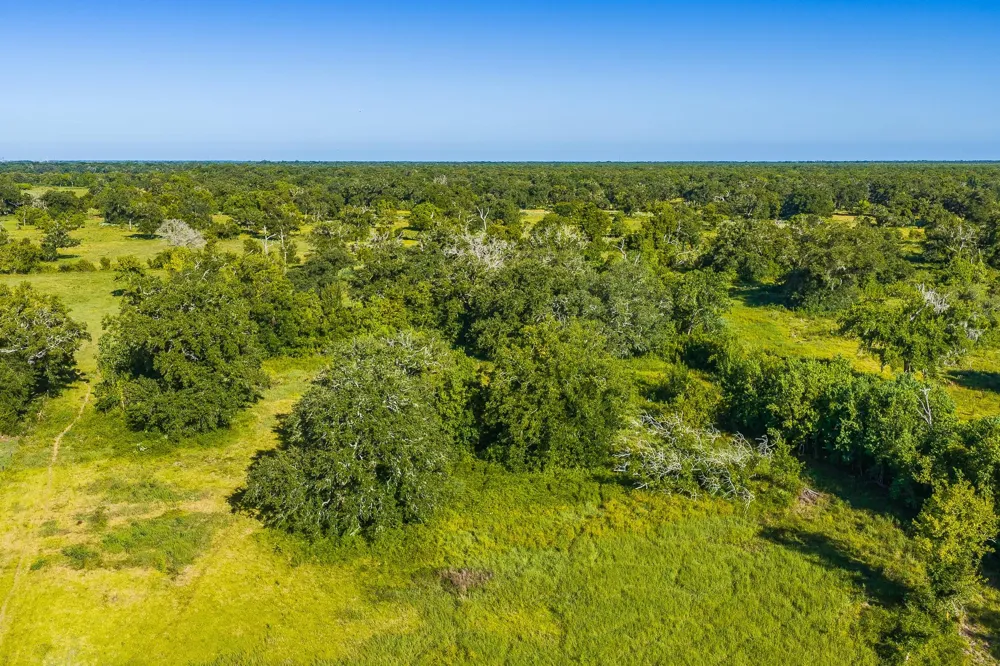 19329 Cr 319 Brazoria, TX 77422