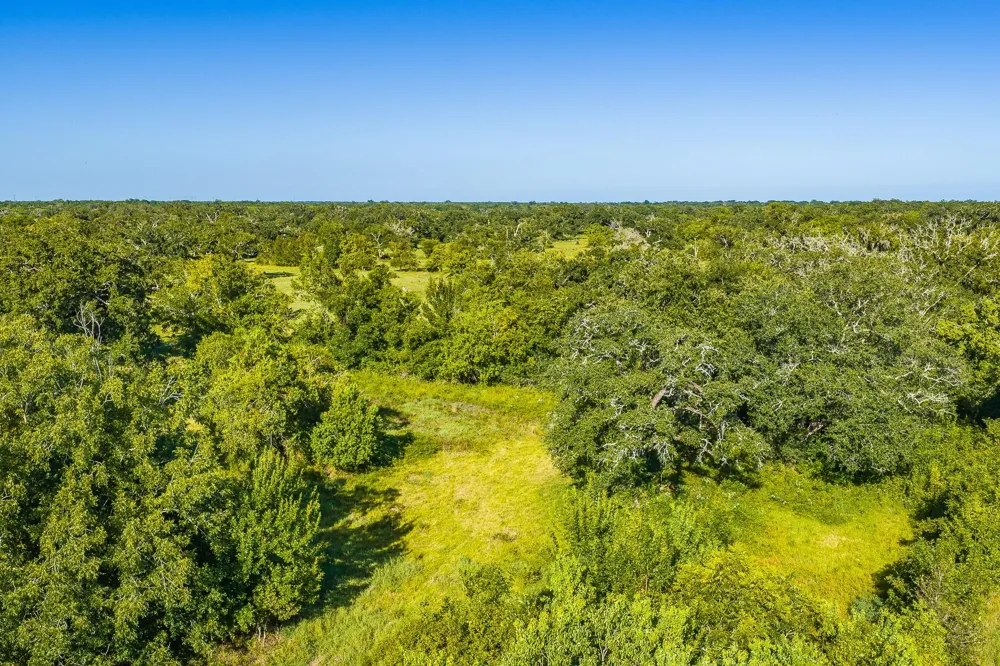 19329 Cr 319 Brazoria, TX 77422