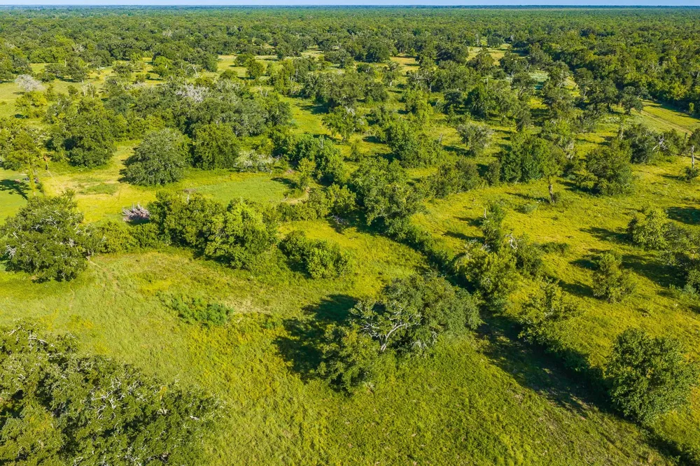 19329 Cr 319 Brazoria, TX 77422