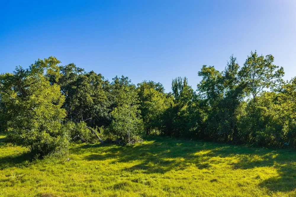 19329 Cr 319 Brazoria, TX 77422